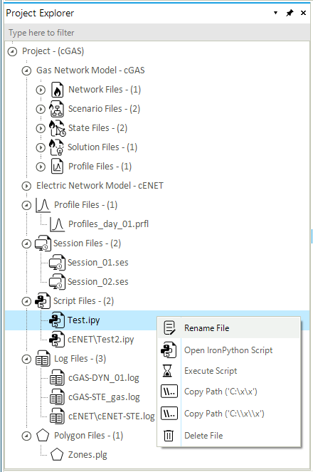project explorer 01